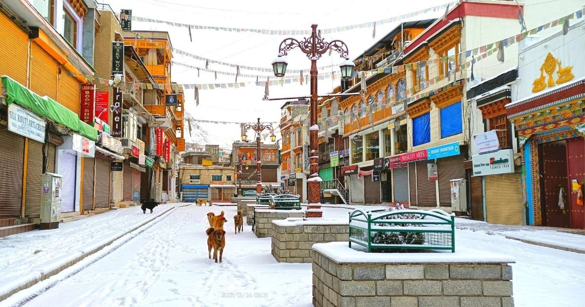 Manali Leh Manali Package